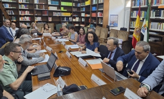 Comisión Territorial de Violencia de Género de Extremadura
